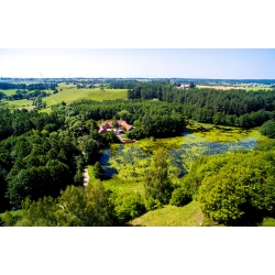Suwalski Park Krajobrazowy - Turtul - Kliknięcie spowoduje wyświetlenie powiększenia zdjęcia